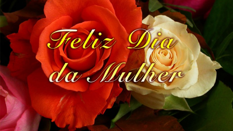 Feliz Dia Internacional da Mulher!