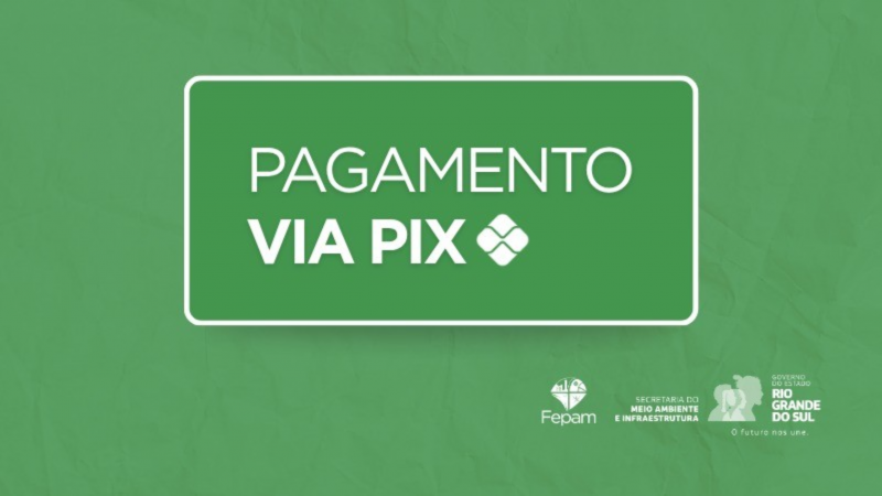 Logo do Pagamento via Pix